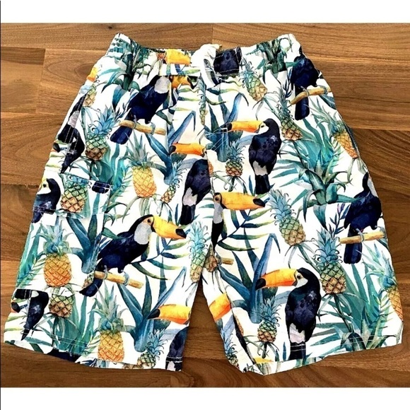 Mens The Image Sz Medium Swim Trunks Boardshorts Mesh Lined Pockets Parrot EUC - Picture 2 of 8